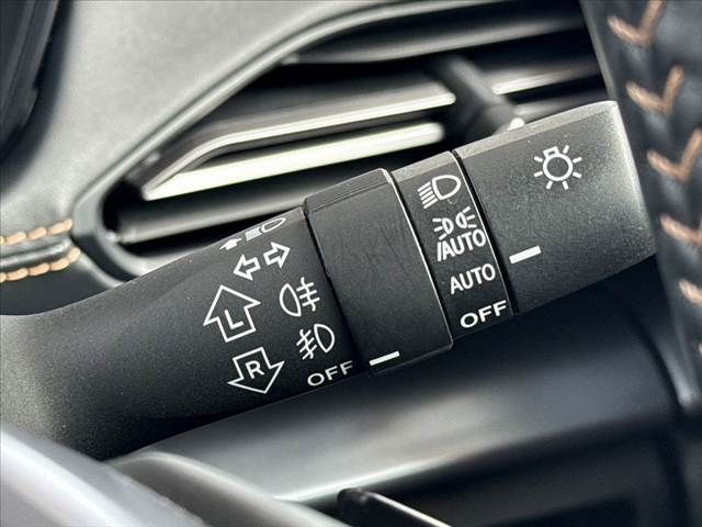LEVORG LAYBACK