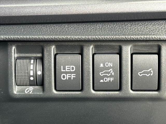 LEVORG LAYBACK