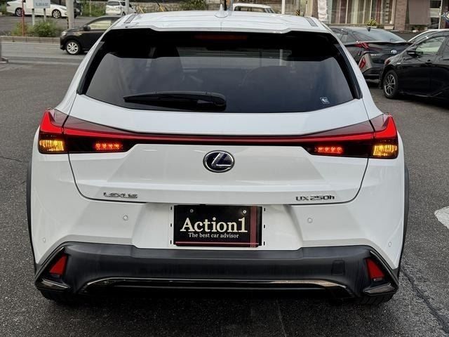LEXUS UX250h