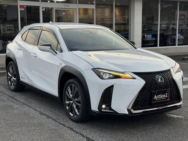 LEXUS UX250h