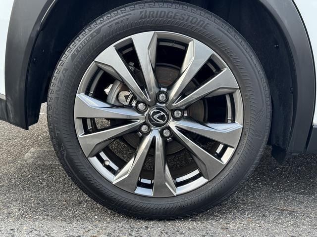 LEXUS UX250h