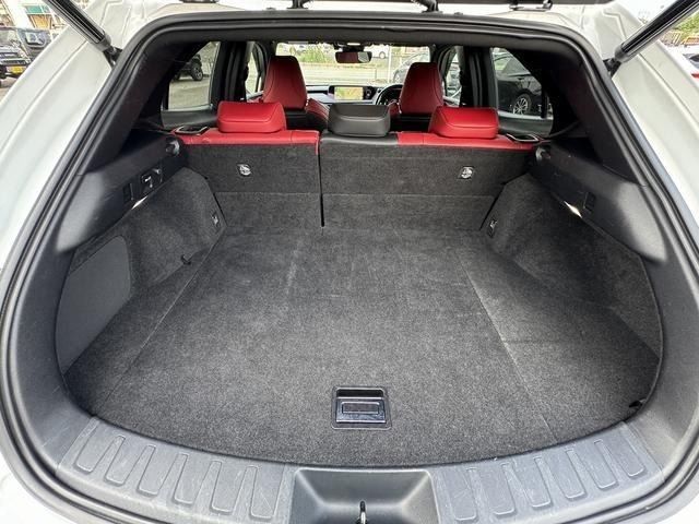 LEXUS UX250h