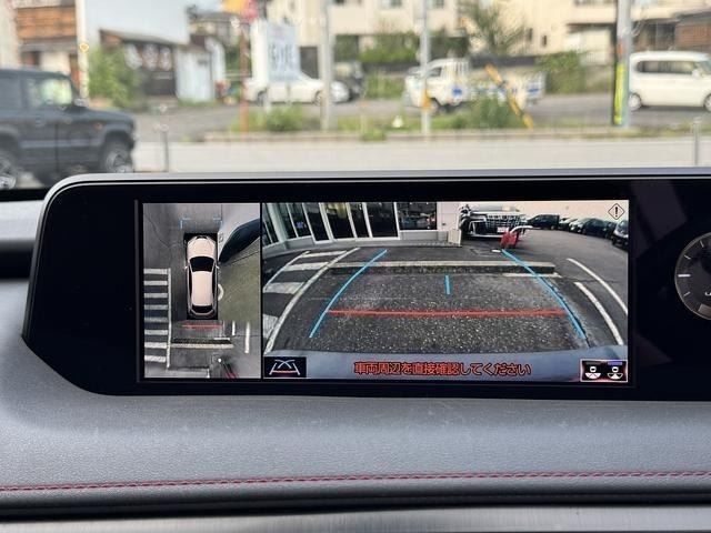 LEXUS UX250h