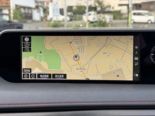LEXUS UX250h