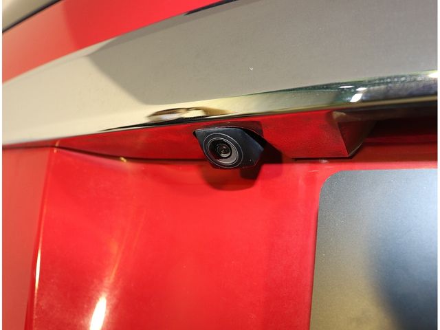 COROLLA RUMION