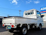 MINICAB truck 4WD