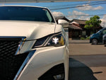 CROWN sedan