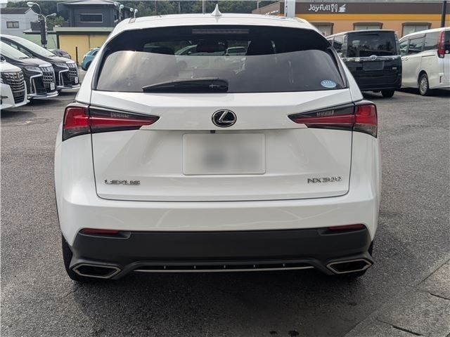 LEXUS NX300