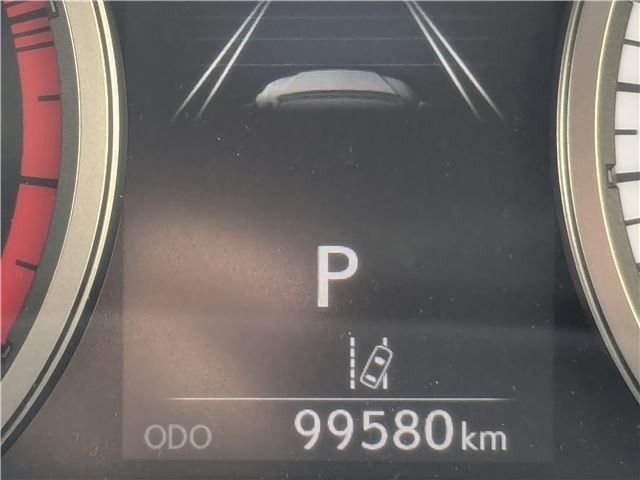 LEXUS NX300