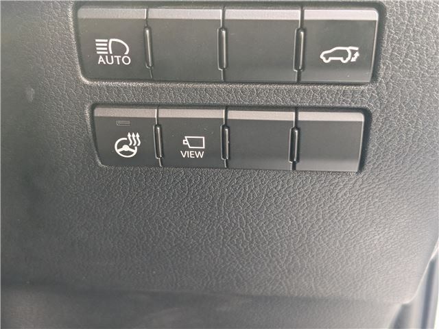 LEXUS NX300