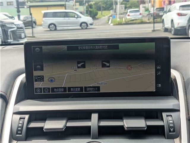 LEXUS NX300