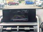 LEXUS NX300