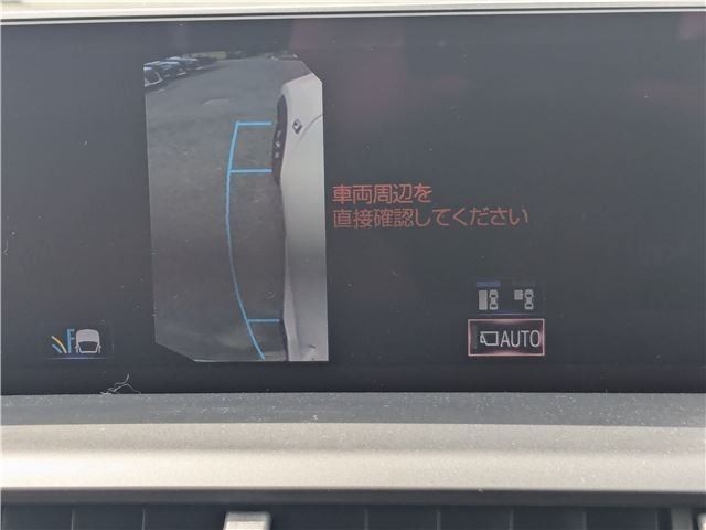 LEXUS NX300