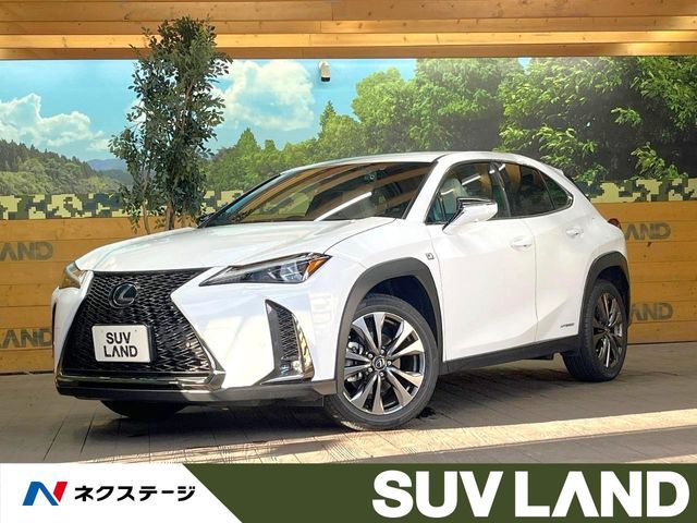 LEXUS UX250h