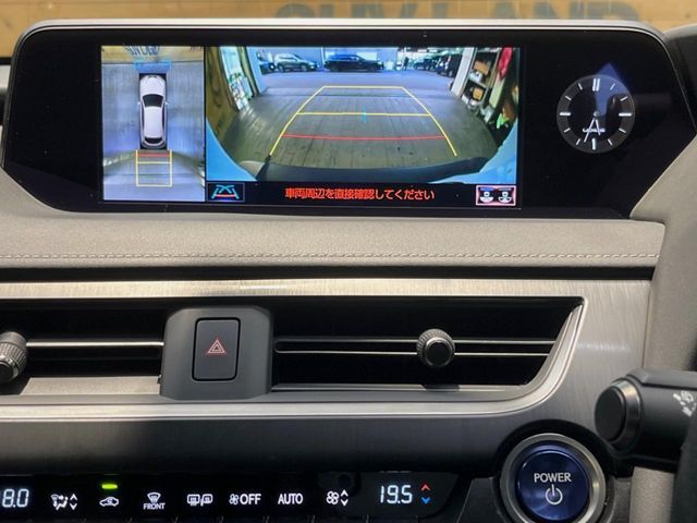 LEXUS UX250h