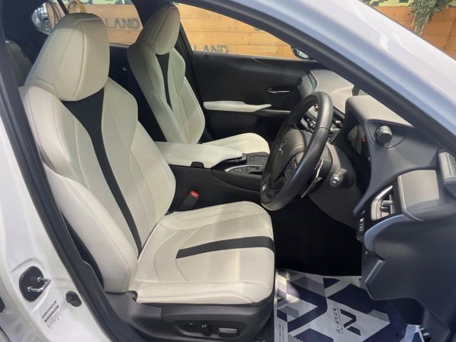 LEXUS UX250h