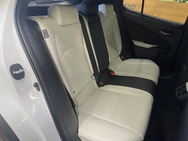 LEXUS UX250h