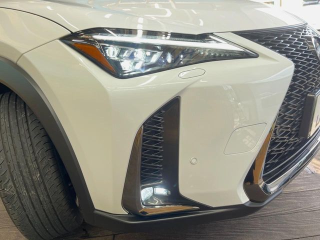 LEXUS UX250h