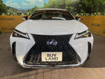 LEXUS UX250h
