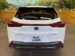 LEXUS UX250h