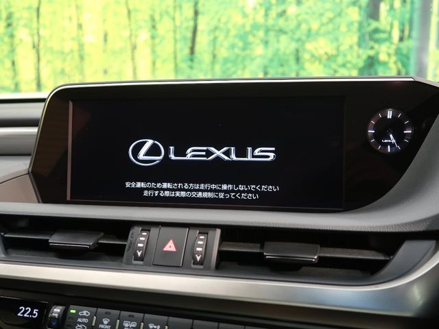 LEXUS ES300h