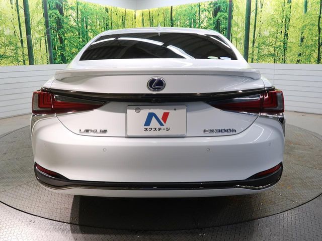 LEXUS ES300h