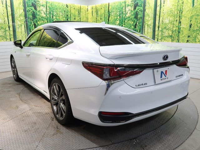 LEXUS ES300h