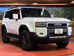 LANDCRUISER 250