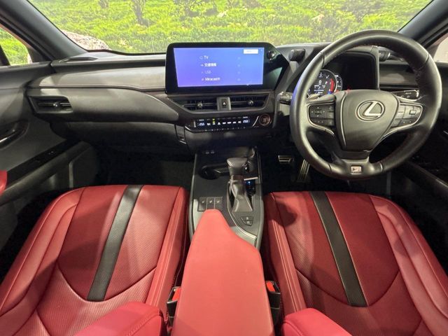 LEXUS UX200