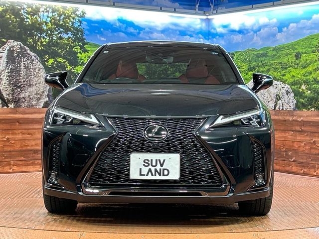 LEXUS UX200