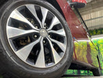 SERENA  S-HYBRID