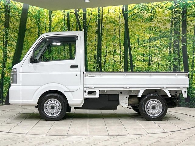 CARRY truck