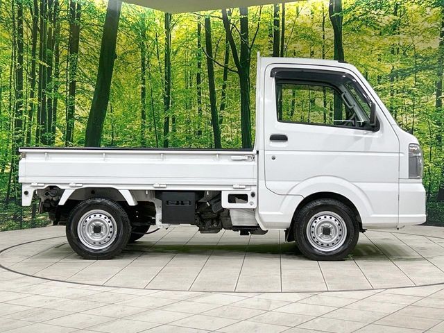 CARRY truck
