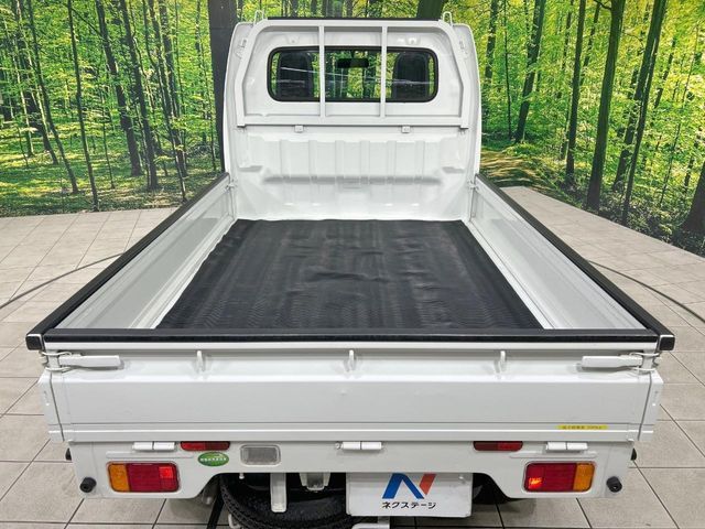 CARRY truck