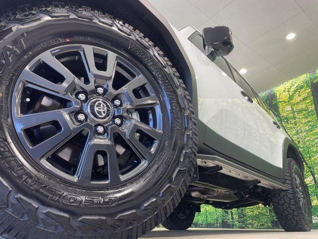 LANDCRUISER 250