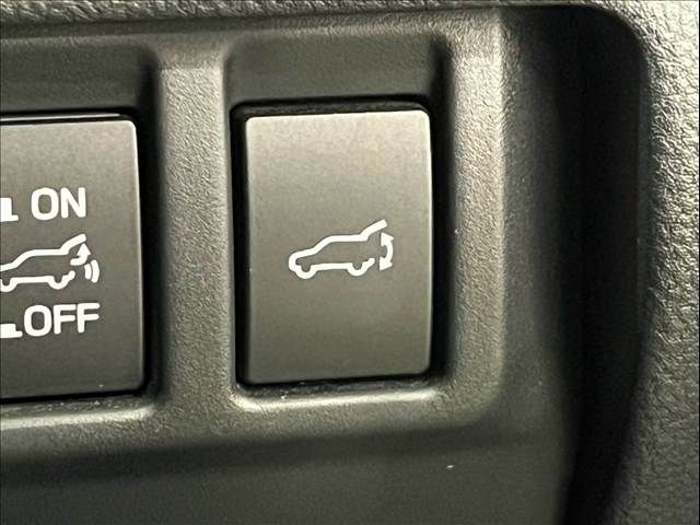 LEVORG LAYBACK