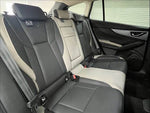 LEVORG LAYBACK