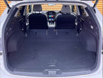 LEVORG LAYBACK