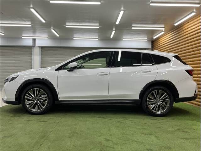 LEVORG LAYBACK