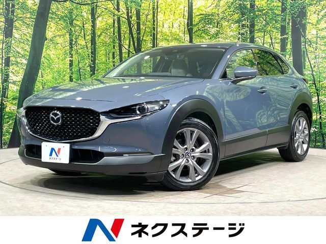 CX-30