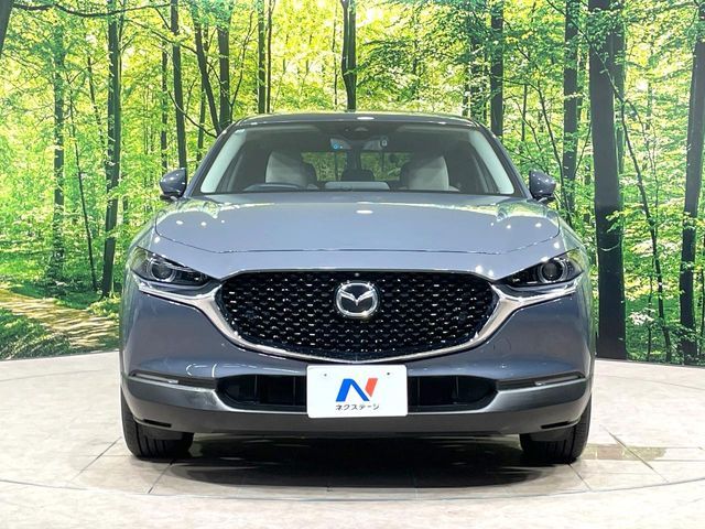 CX-30