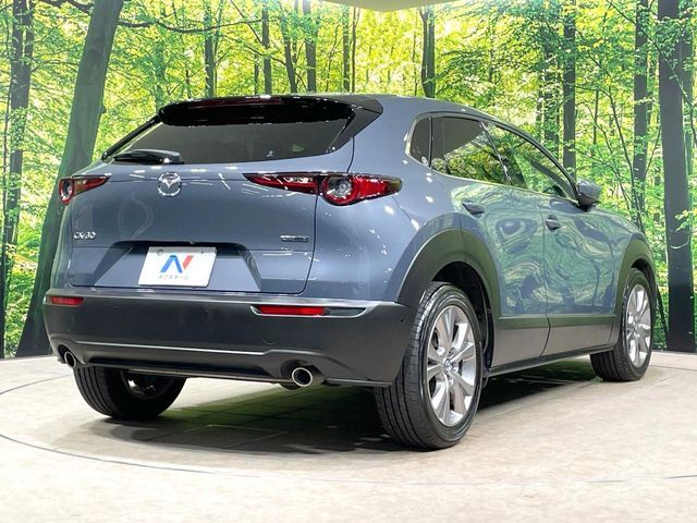 CX-30