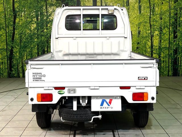 NT100 CLIPPER 4WD