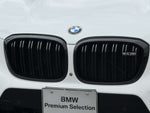 BMW X4 M