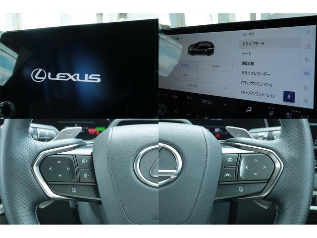 LEXUS RX500h