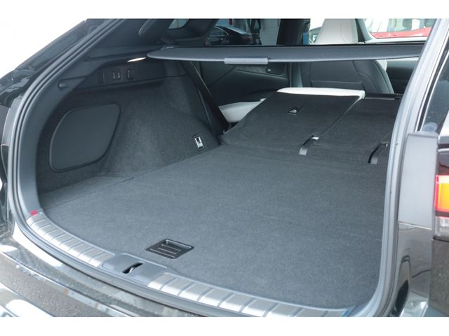 LEXUS RX500h