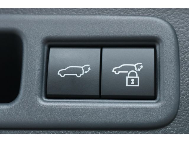 LEXUS RX500h