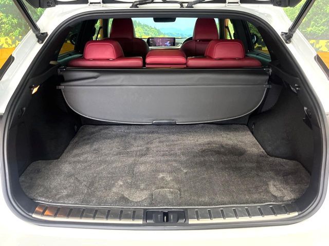 LEXUS RX450h AWD
