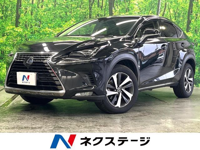 LEXUS NX300