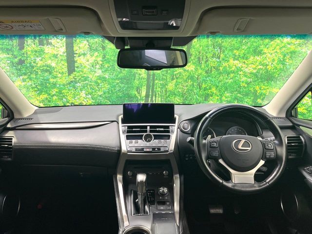 LEXUS NX300